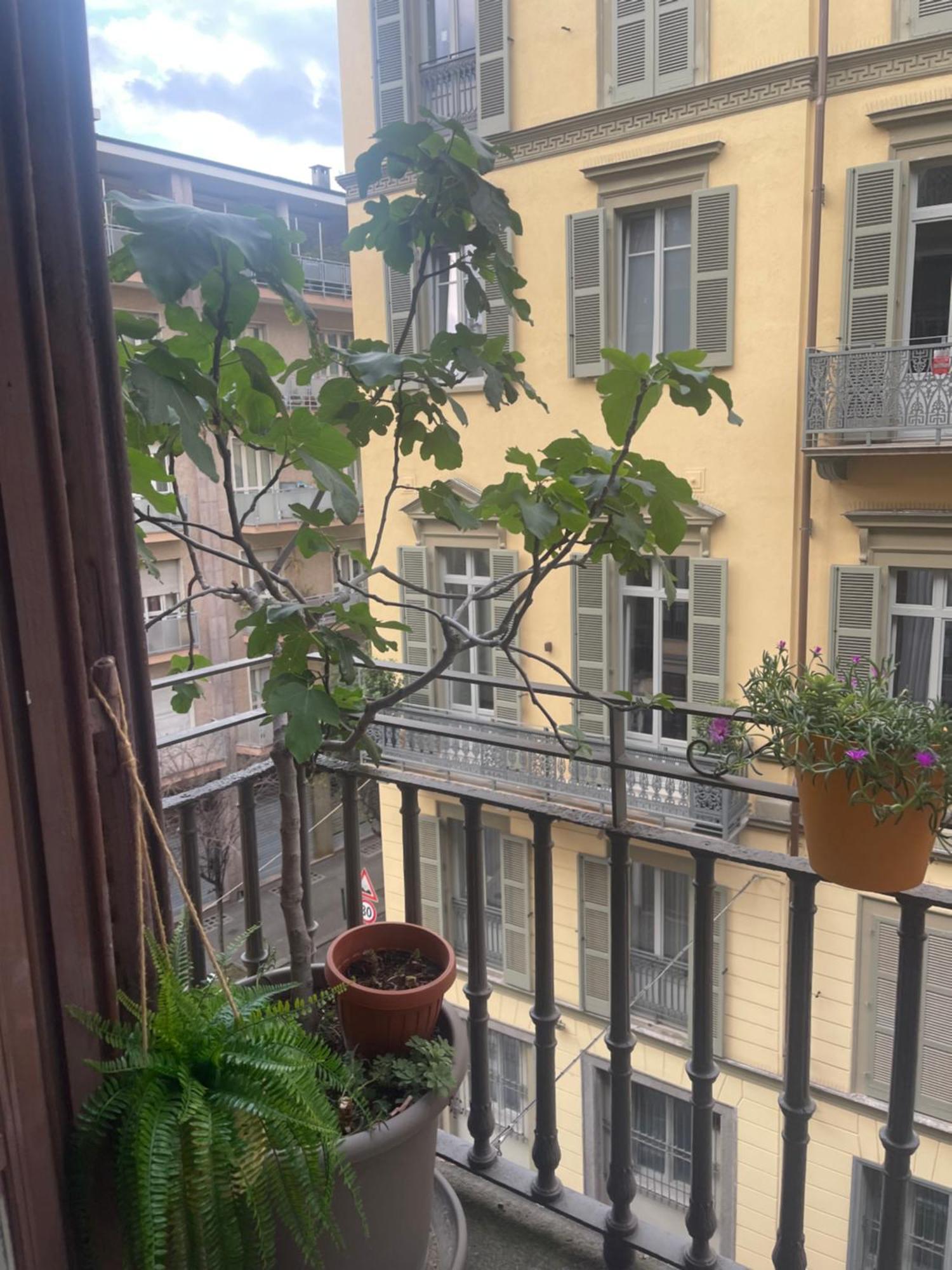 Torino Natura In Centro Exterior foto